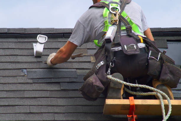 Best Roof Inspection  in Newaygo, MI